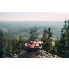 adventure menu svatomartinska husa 450 g 1560 8