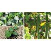 Eatgreen Lufa Na Myti Se Snurkou 1728 3