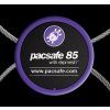Pacsafe 85